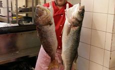 Δημοριρί Δημοριρί